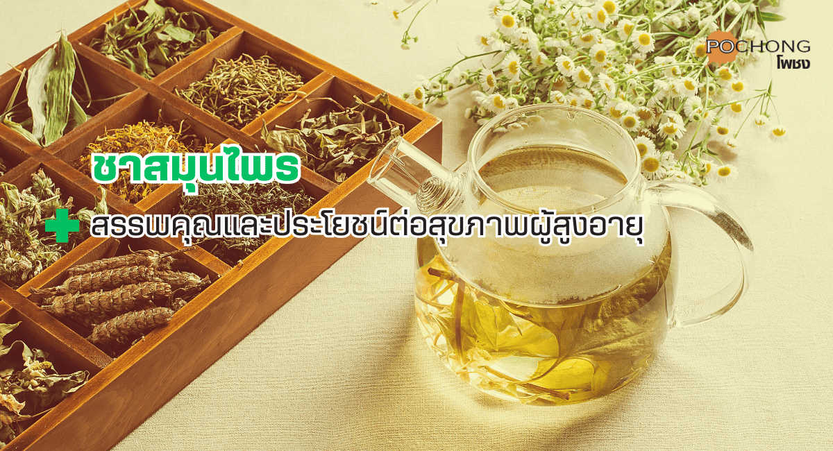 ชาสมุนไพร-สรรพคุณและประโยชน์ต่อสุขภาพผู้สูงอายุ