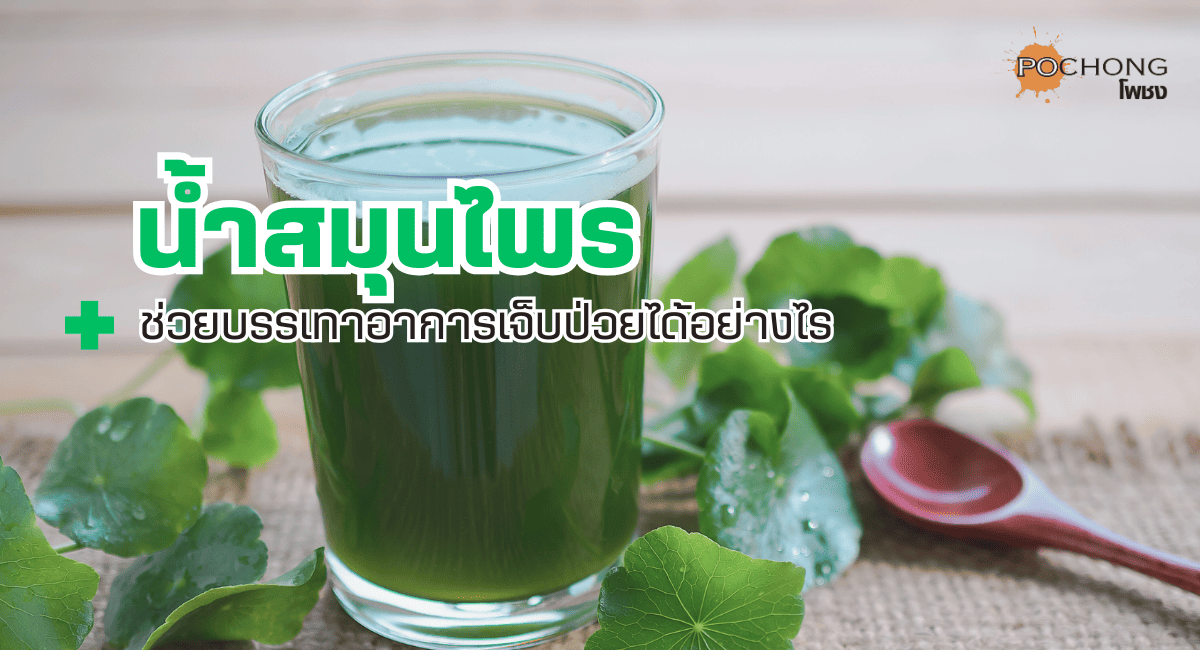น้ำสมุนไพร